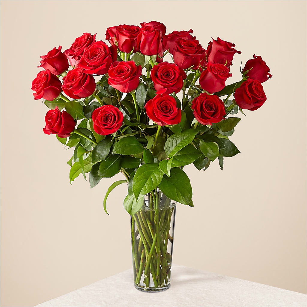 LONG STEM ROSE BOUQUET – Davinci Flower Shop Ltd, Scarborough ON