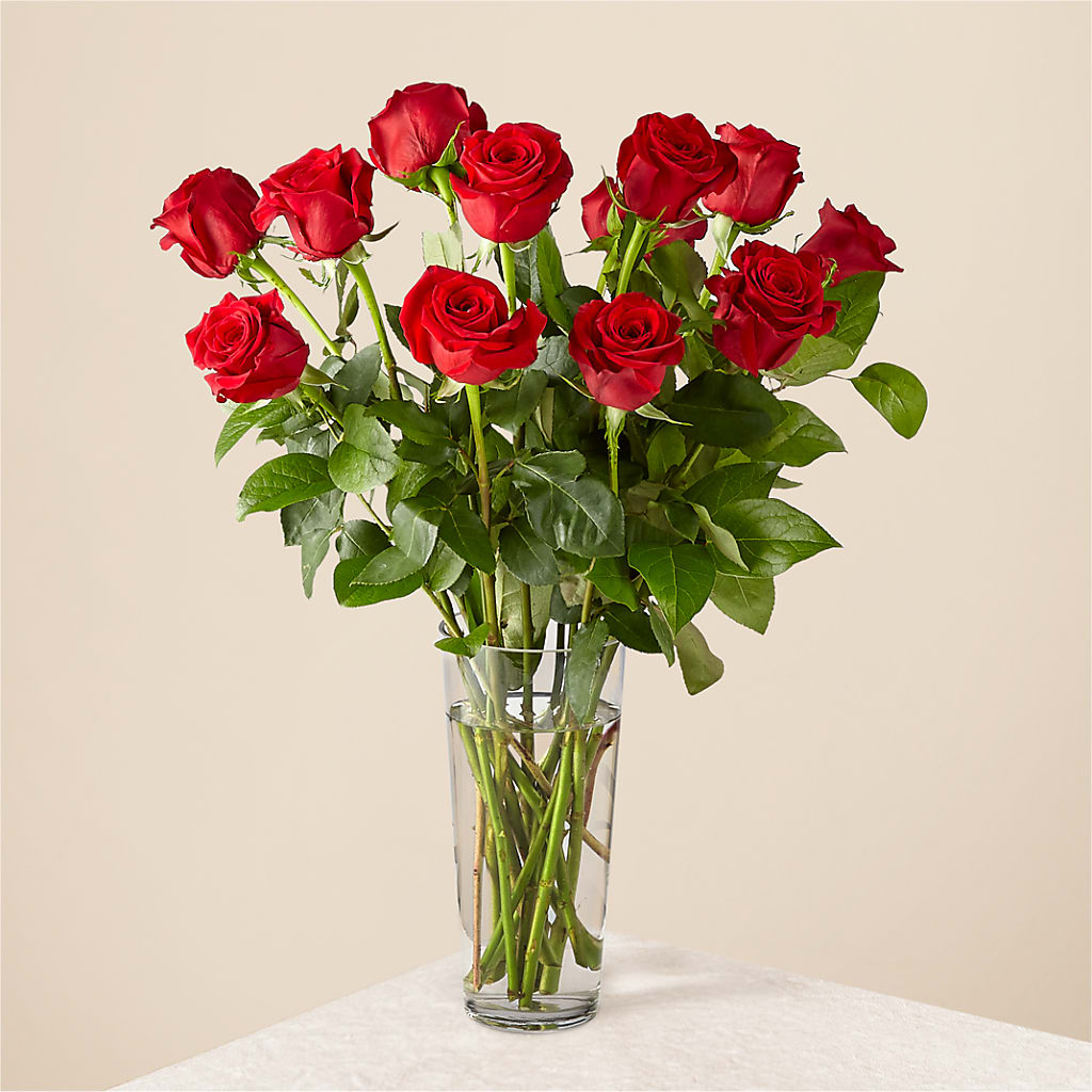 LONG STEM ROSE BOUQUET – Davinci Flower Shop Ltd, Scarborough ON
