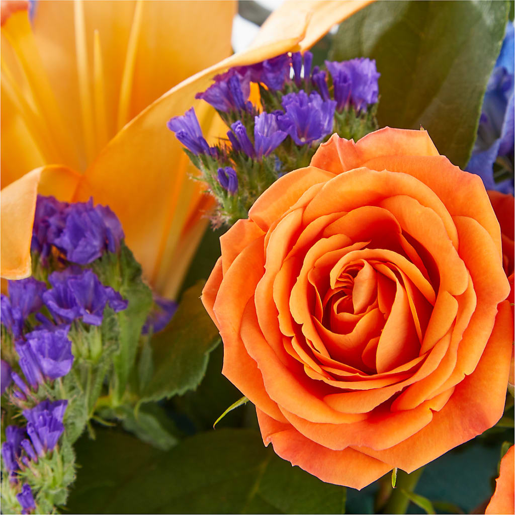 Radiant Citrus Box Bouquet – Davinci Flower Shop Ltd, Scarborough ON