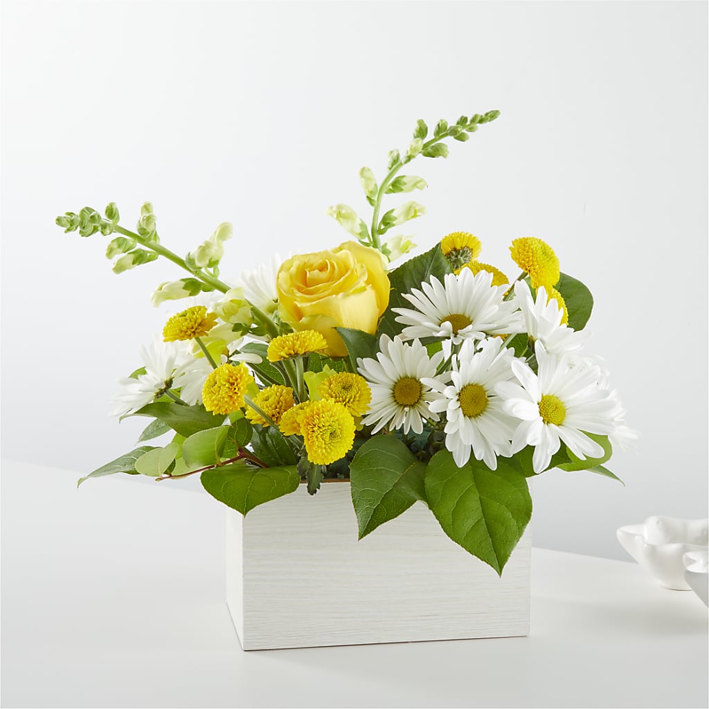 Sun Salutation Box Bouquet – Davinci Flower Shop Ltd, Scarborough ON