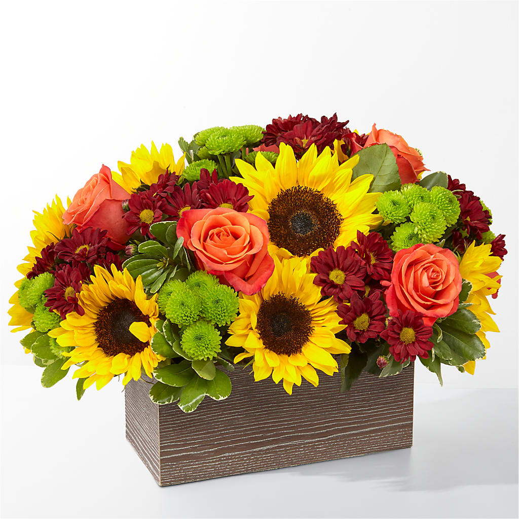 Happy Harvest Garden – Davinci Flower Shop Ltd, Scarborough ON