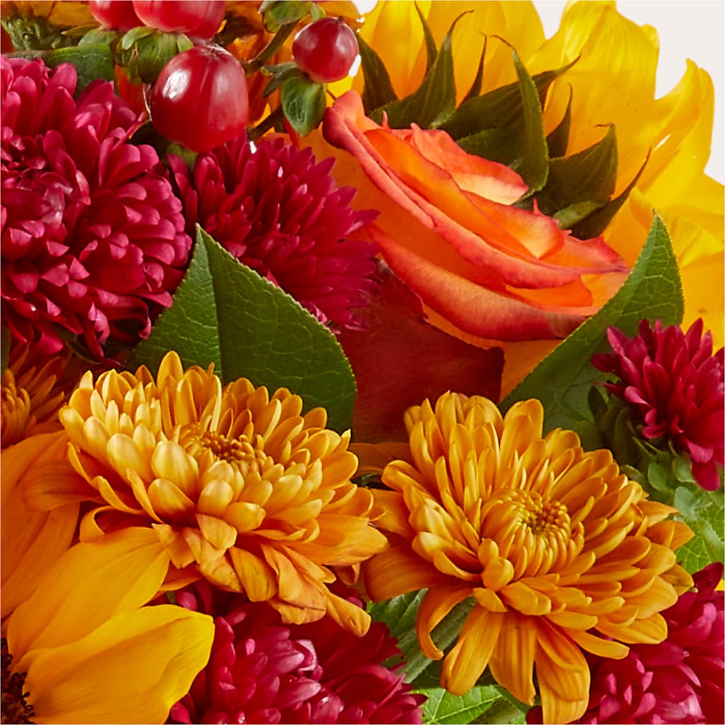 Sweater Season - A Florist Original – Davinci Flower Shop Ltd, Scarborough ON