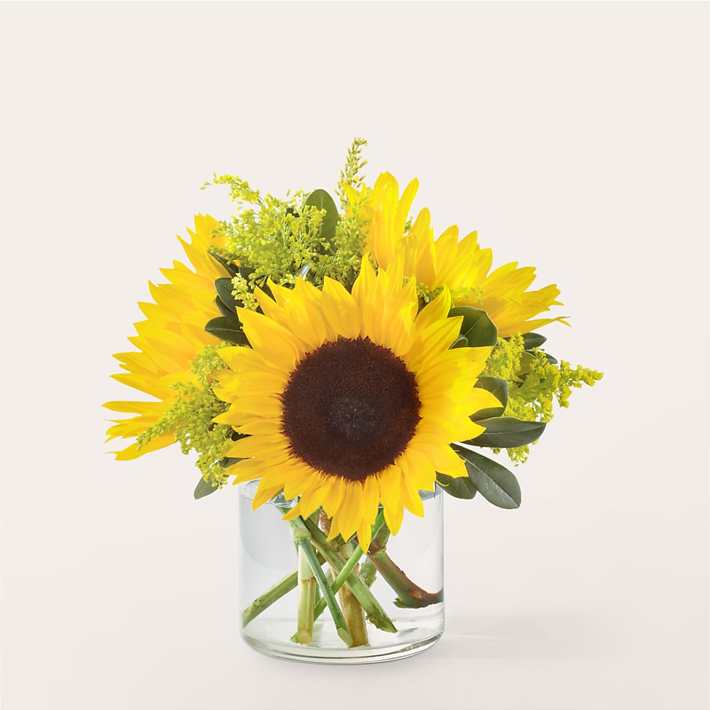 Beaming Sunflower Bouquet – Davinci Flower Shop Ltd, Scarborough ON