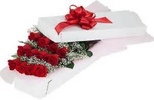 12 Long stem roses gift boxed