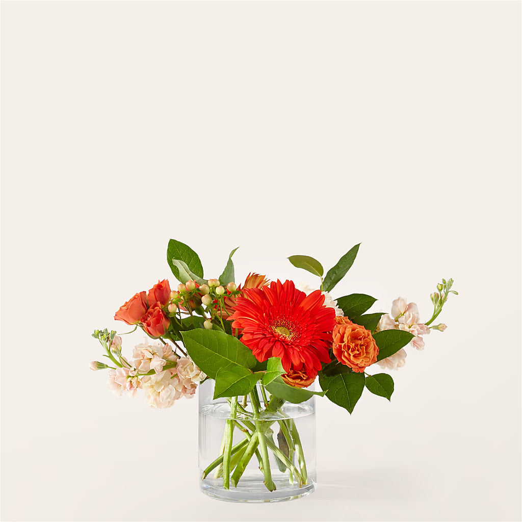 Paloma Please Bouquet – Davinci Flower Shop Ltd, Scarborough ON