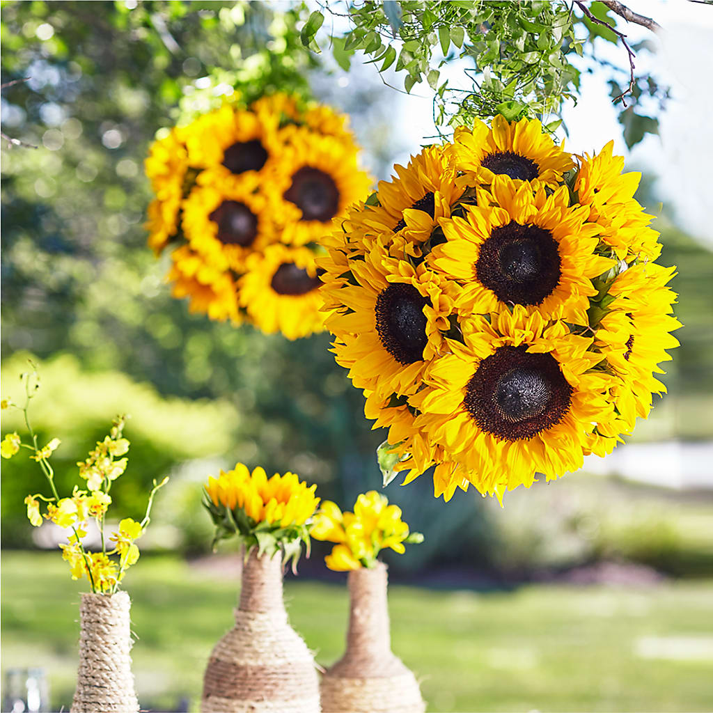 Sublime Garden Hanging Arrangement – Davinci Flower Shop Ltd, Scarborough ON