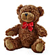 SMALL PLUSH BEAR –  Davinci Flower Shop Ltd, Scarborough ON