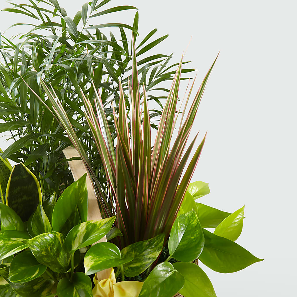 French Garden –  Davinci Flower Shop Ltd, Scarborough ON