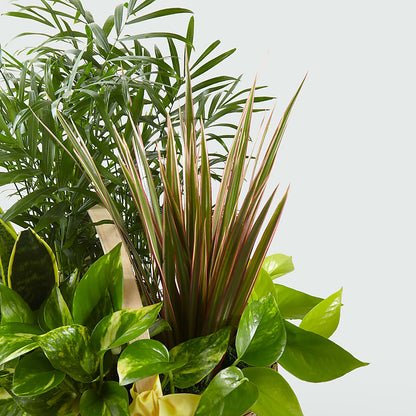 French Garden –  Davinci Flower Shop Ltd, Scarborough ON