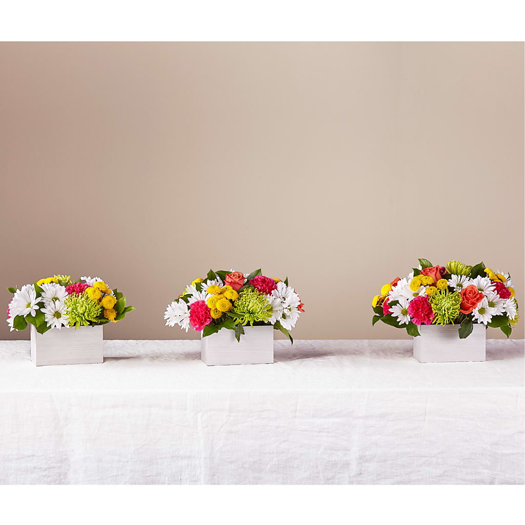 Sorbet Bouquet –  Davinci Flower Shop Ltd, Scarborough ON