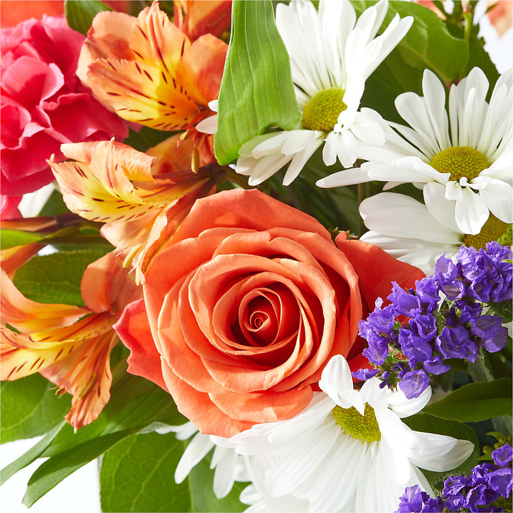 Oopsie Daisy Box Bouquet –  Davinci Flower Shop Ltd, Scarborough ON