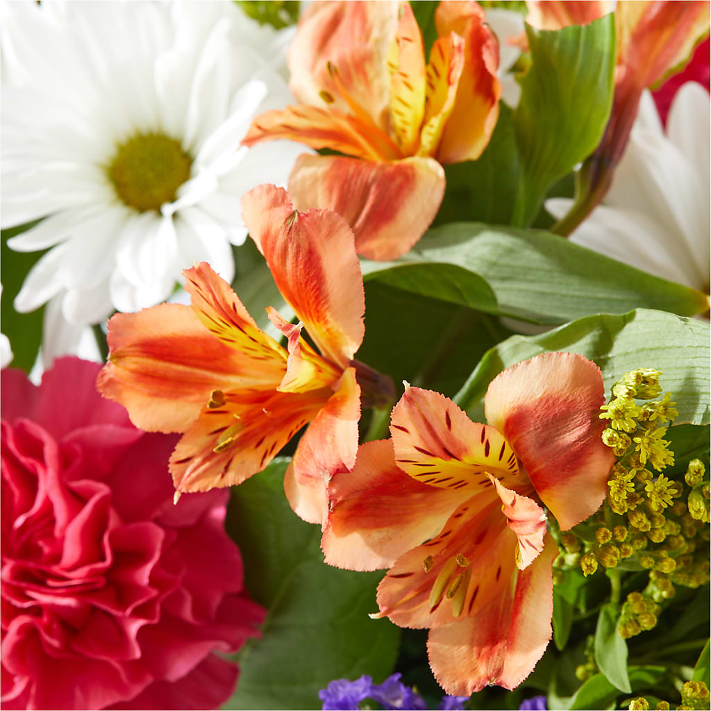 Oopsie Daisy Box Bouquet –  Davinci Flower Shop Ltd, Scarborough ON