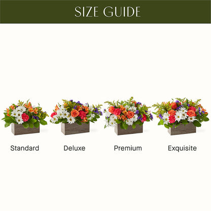 Oopsie Daisy Box Bouquet –  Davinci Flower Shop Ltd, Scarborough ON