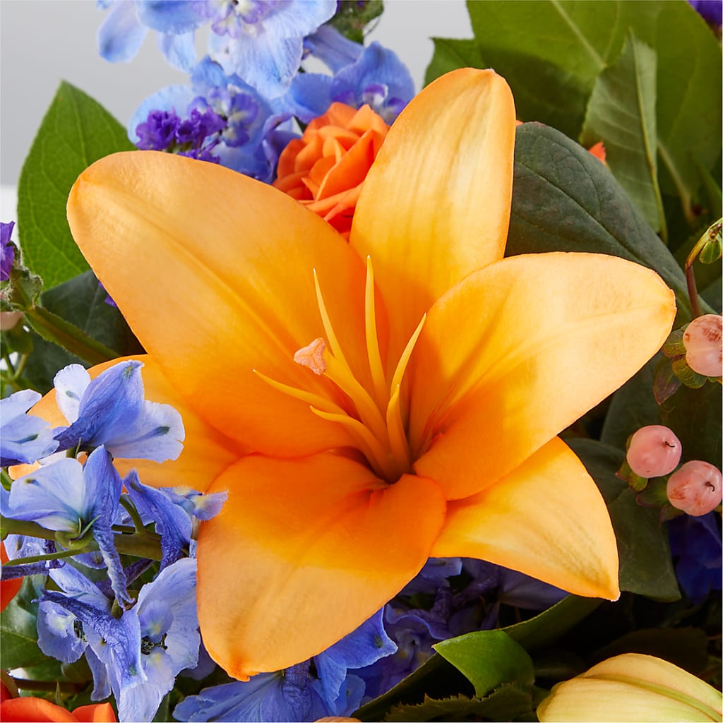 Radiant Citrus Box Bouquet –  Davinci Flower Shop Ltd, Scarborough ON