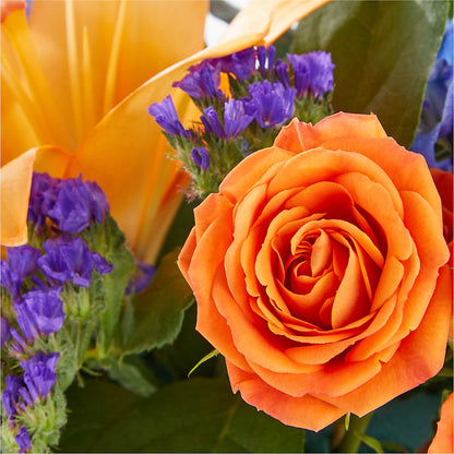 Radiant Citrus Box Bouquet –  Davinci Flower Shop Ltd, Scarborough ON