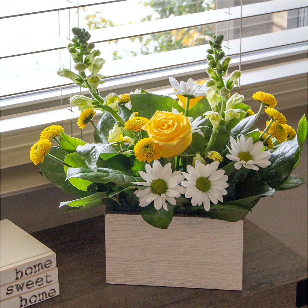 Sun Salutation Box Bouquet –  Davinci Flower Shop Ltd, Scarborough ON