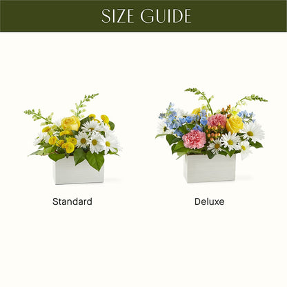 Sun Salutation Box Bouquet –  Davinci Flower Shop Ltd, Scarborough ON