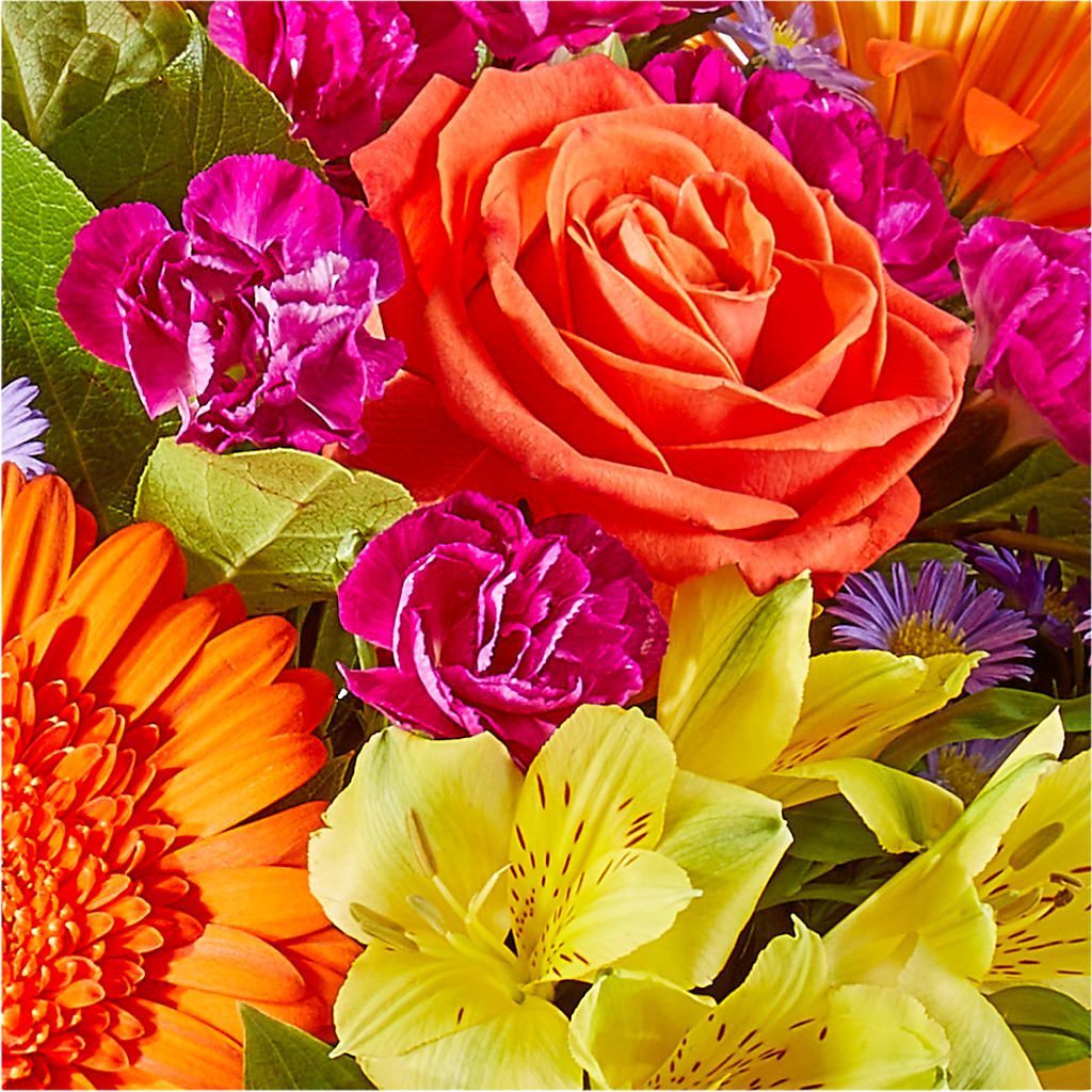 Tricks & Treats Pumpkin –  Davinci Flower Shop Ltd, Scarborough ON