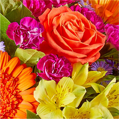 Tricks & Treats Pumpkin –  Davinci Flower Shop Ltd, Scarborough ON