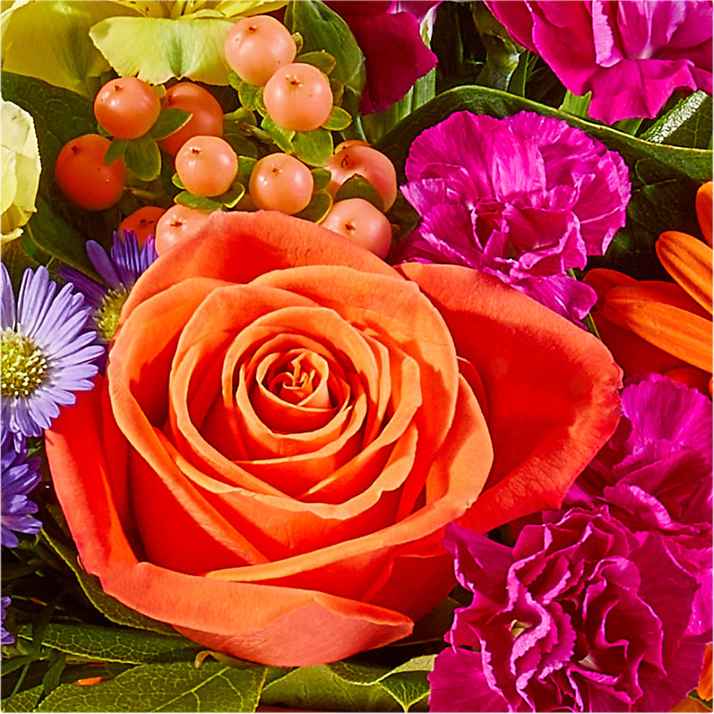 Tricks & Treats Pumpkin –  Davinci Flower Shop Ltd, Scarborough ON