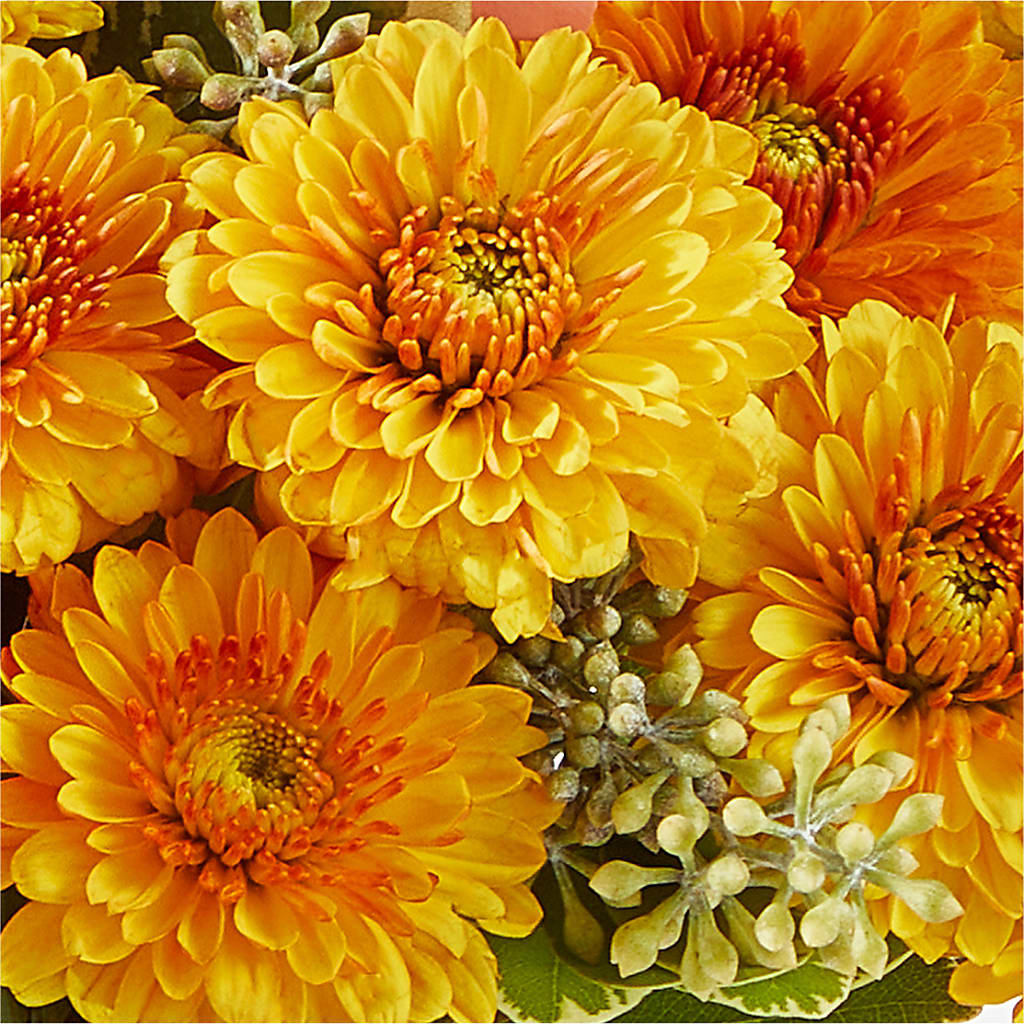 Peachy Pumpkin –  Davinci Flower Shop Ltd, Scarborough ON