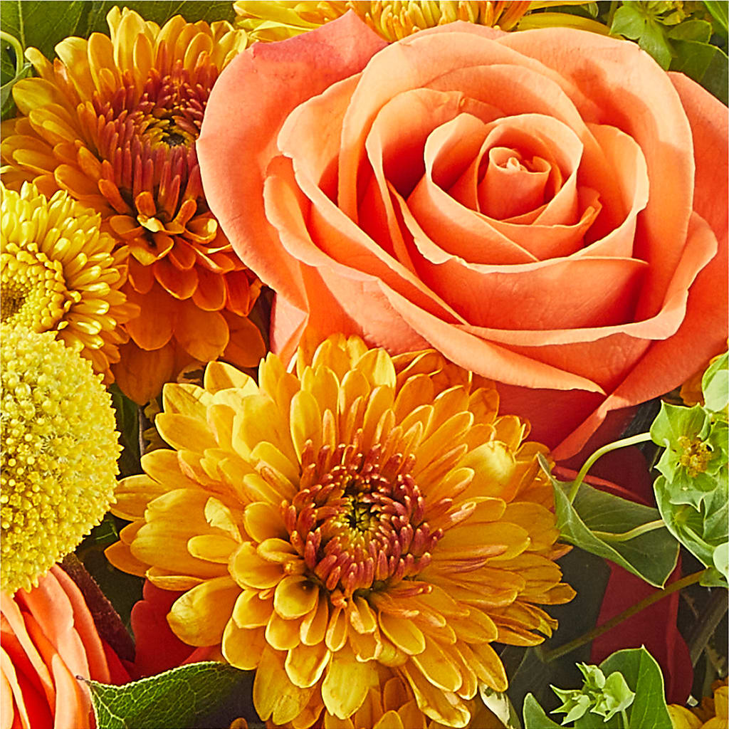 Gourdgeous Pumpkin –  Davinci Flower Shop Ltd, Scarborough ON