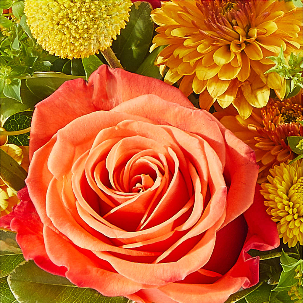 Gourdgeous Pumpkin –  Davinci Flower Shop Ltd, Scarborough ON