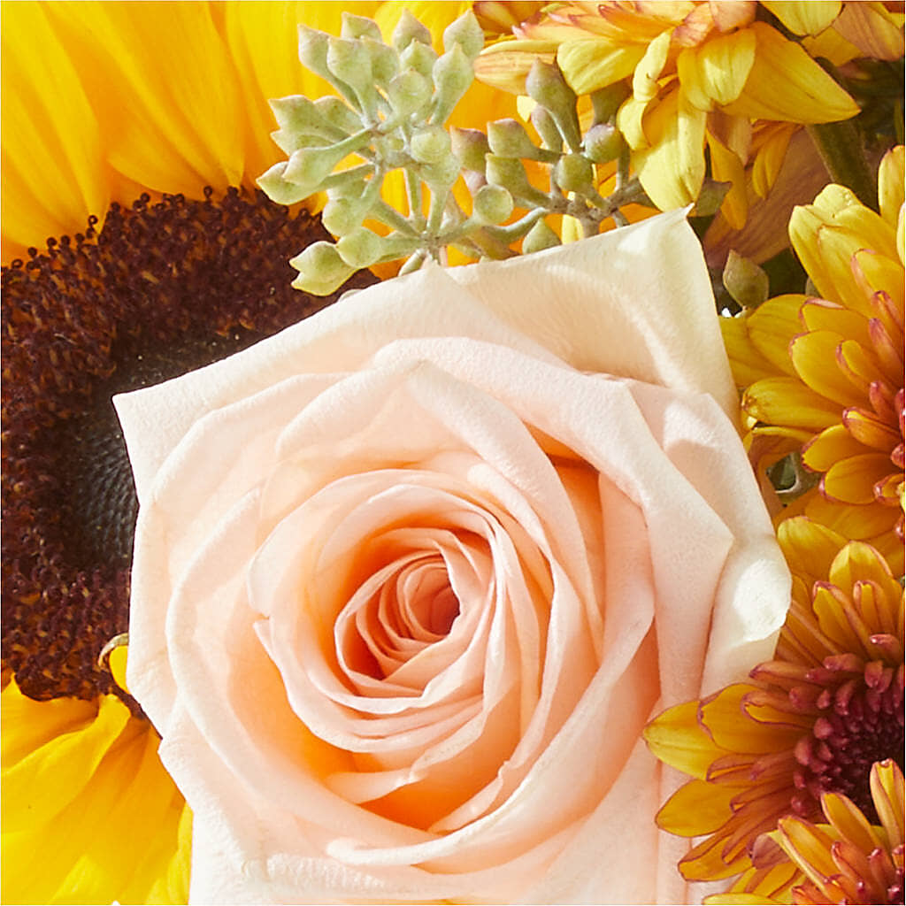 Pumpkin to Talk About Bouquet –  Davinci Flower Shop Ltd, Scarborough ON