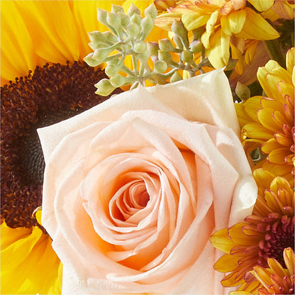Pumpkin to Talk About Bouquet –  Davinci Flower Shop Ltd, Scarborough ON
