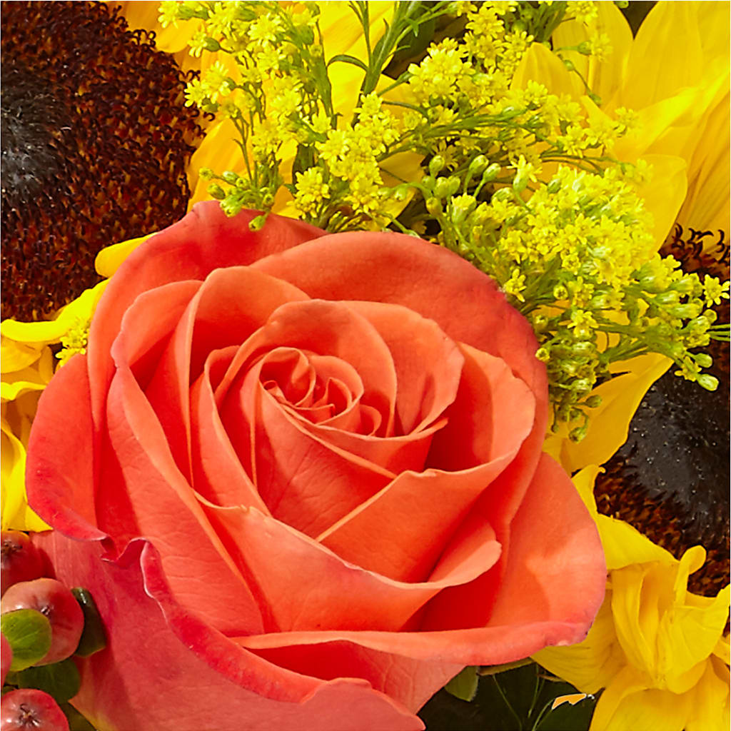 Pick of the Patch Pumpkin Bouquet –  Davinci Flower Shop Ltd, Scarborough ON