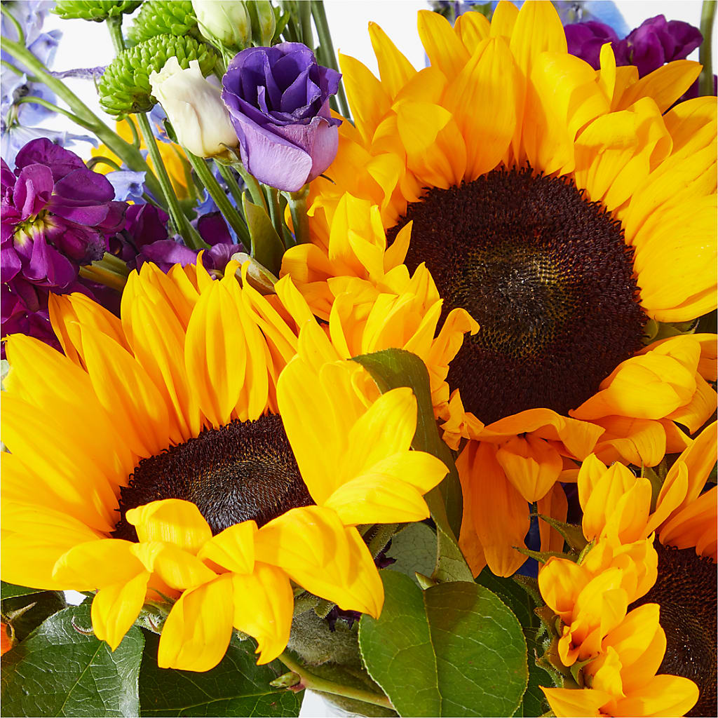 Catching Rays Bouquet –  Davinci Flower Shop Ltd, Scarborough ON