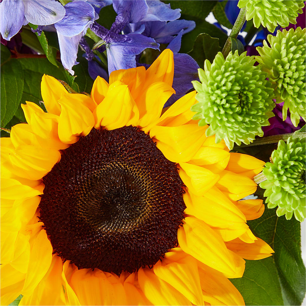 Catching Rays Bouquet –  Davinci Flower Shop Ltd, Scarborough ON