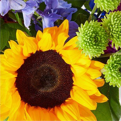Catching Rays Bouquet –  Davinci Flower Shop Ltd, Scarborough ON