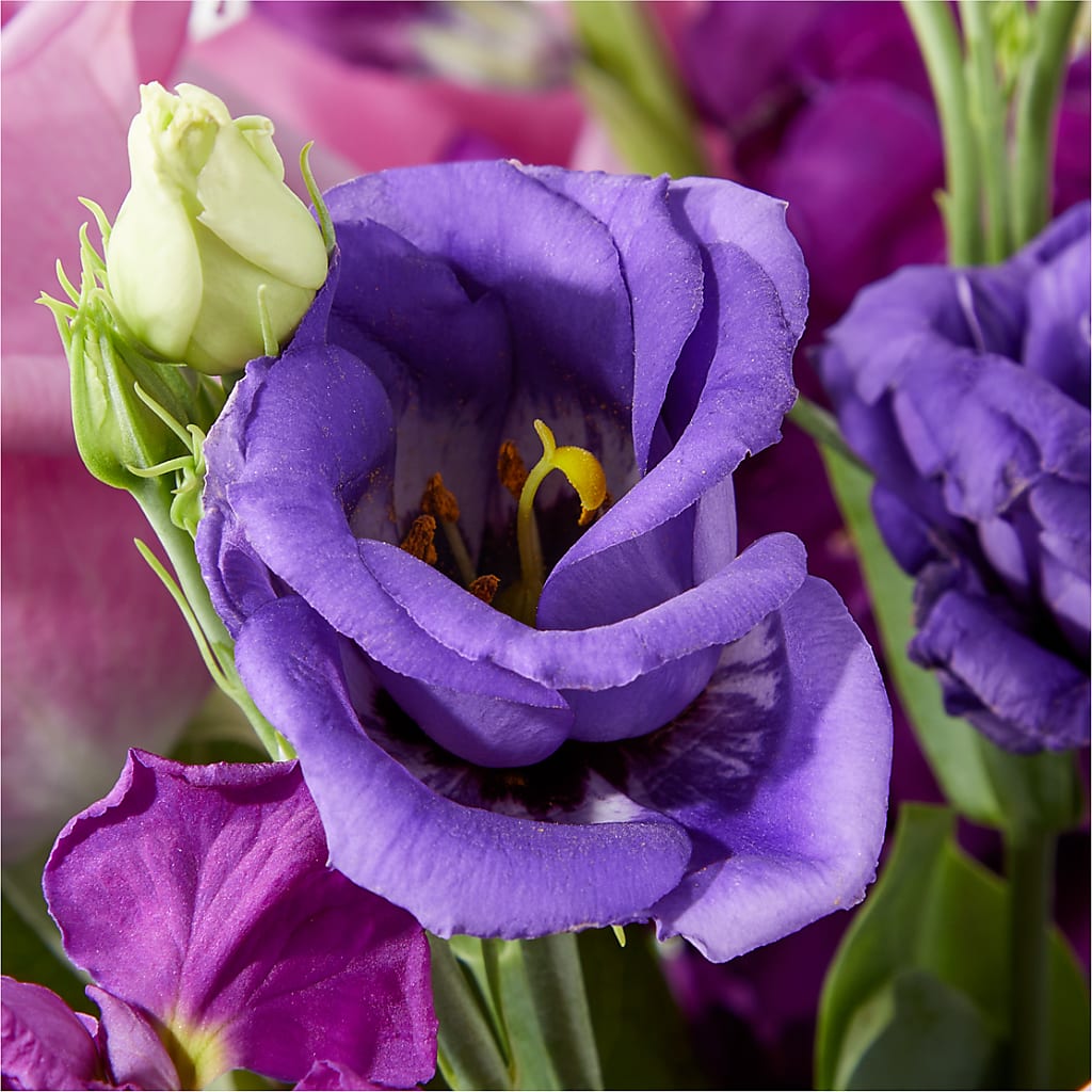 Twilight Glow Bouquet –  Davinci Flower Shop Ltd, Scarborough ON