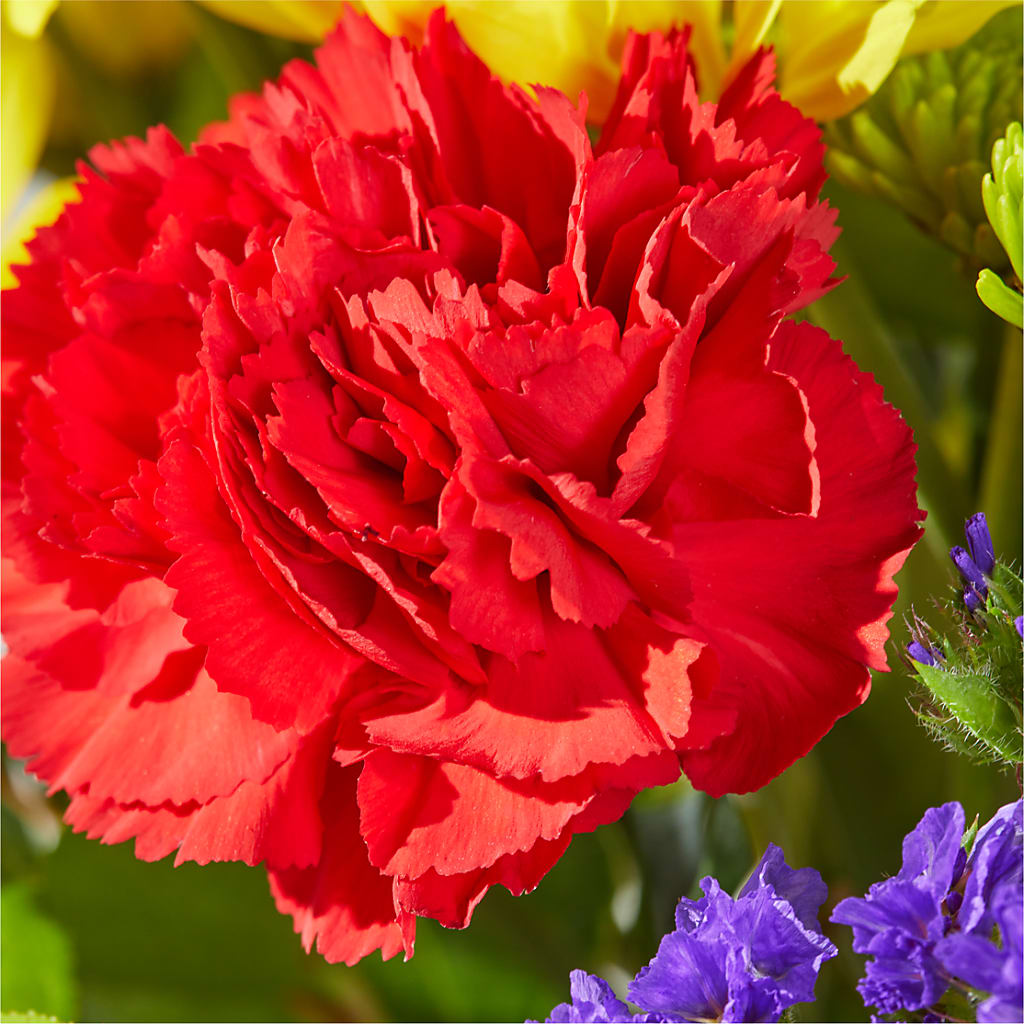 Brighter Days Bouquet –  Davinci Flower Shop Ltd, Scarborough ON