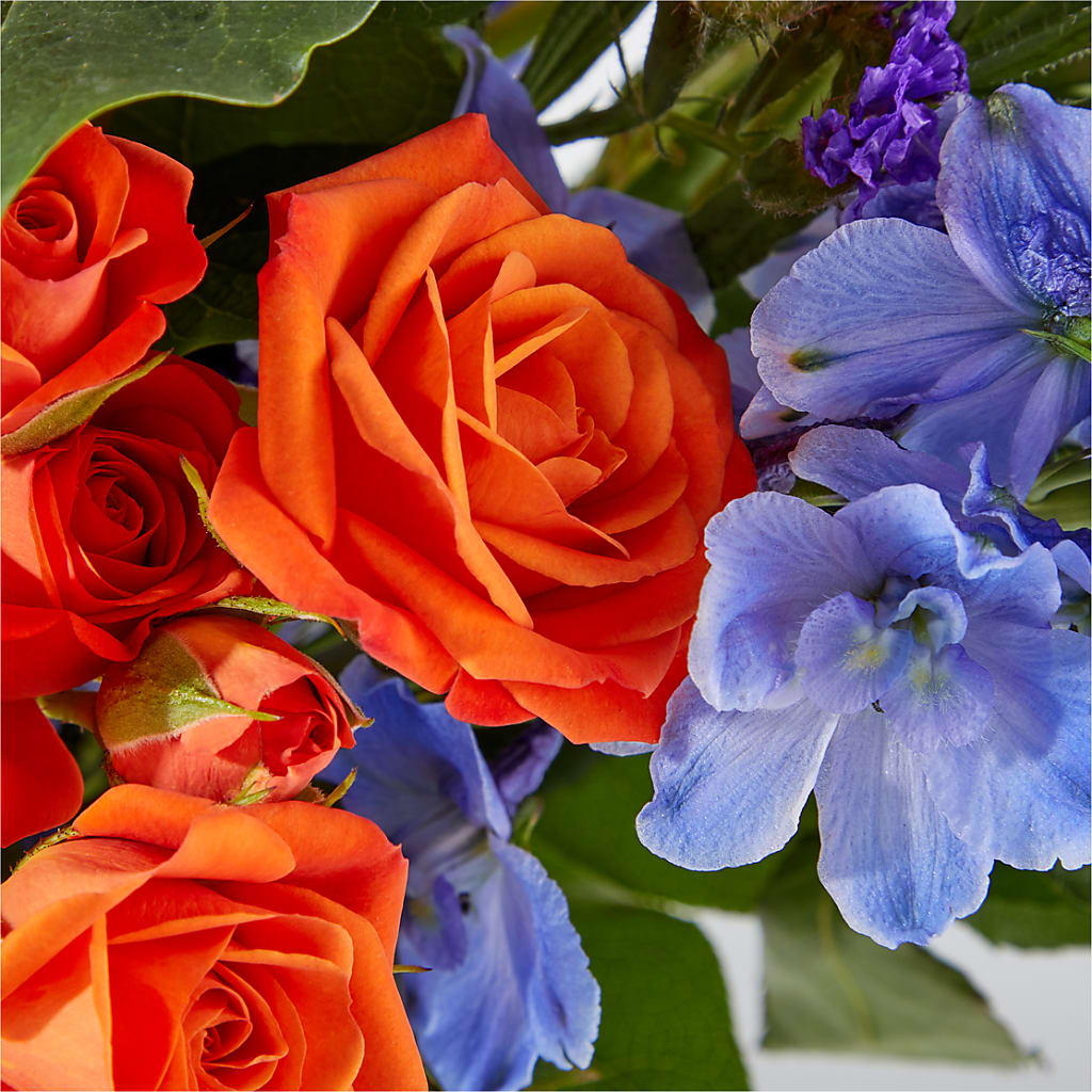 Radiant Citrus Bouquet –  Davinci Flower Shop Ltd, Scarborough ON
