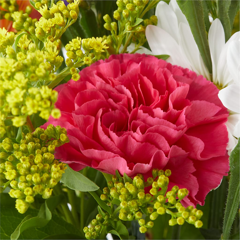Oopsie Daisy Bouquet –  Davinci Flower Shop Ltd, Scarborough ON