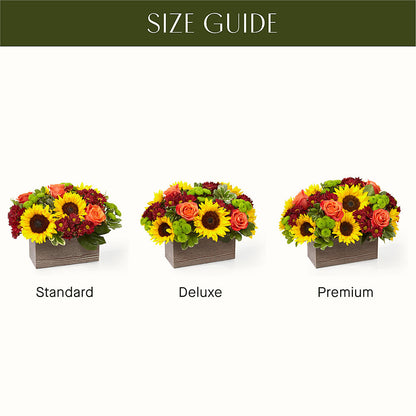 Happy Harvest Garden –  Davinci Flower Shop Ltd, Scarborough ON