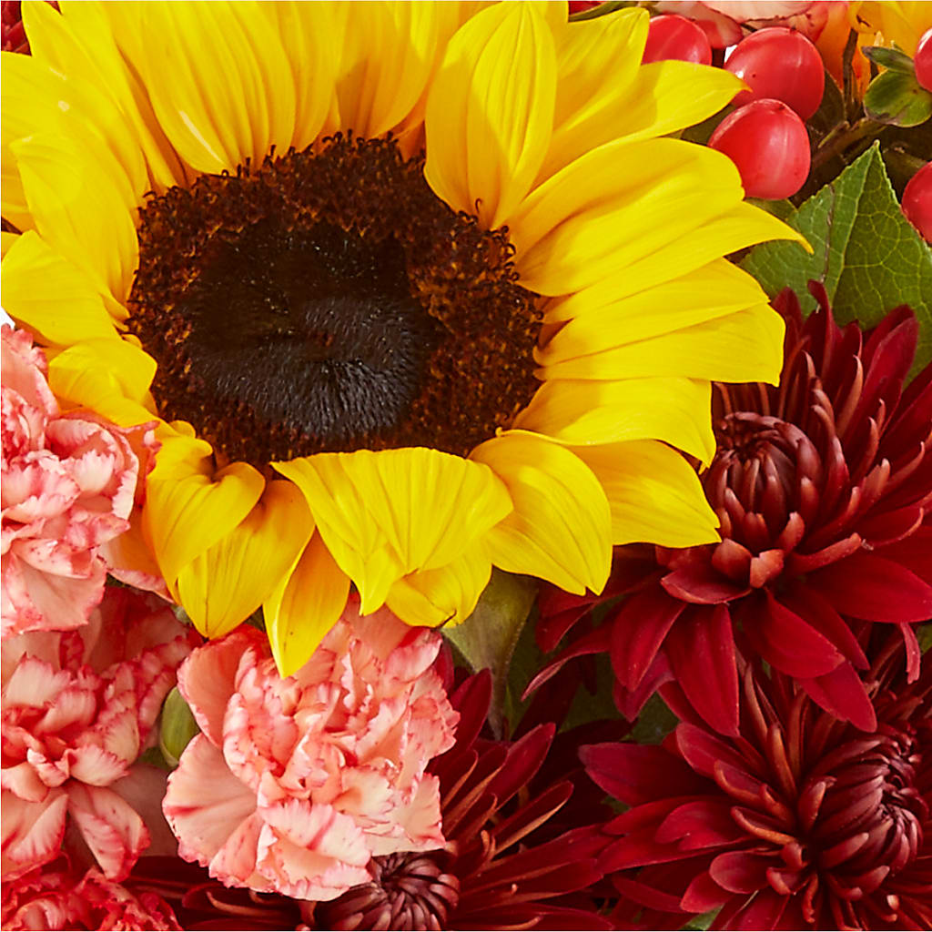 Fresh Cider Bouquet –  Davinci Flower Shop Ltd, Scarborough ON
