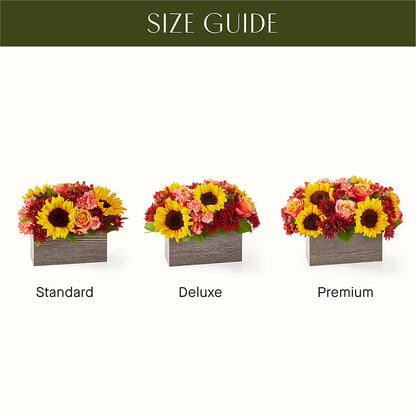 Fresh Cider Bouquet –  Davinci Flower Shop Ltd, Scarborough ON