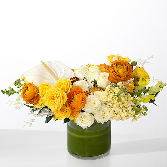The Optimist –  Davinci Flower Shop Ltd, Scarborough ON
