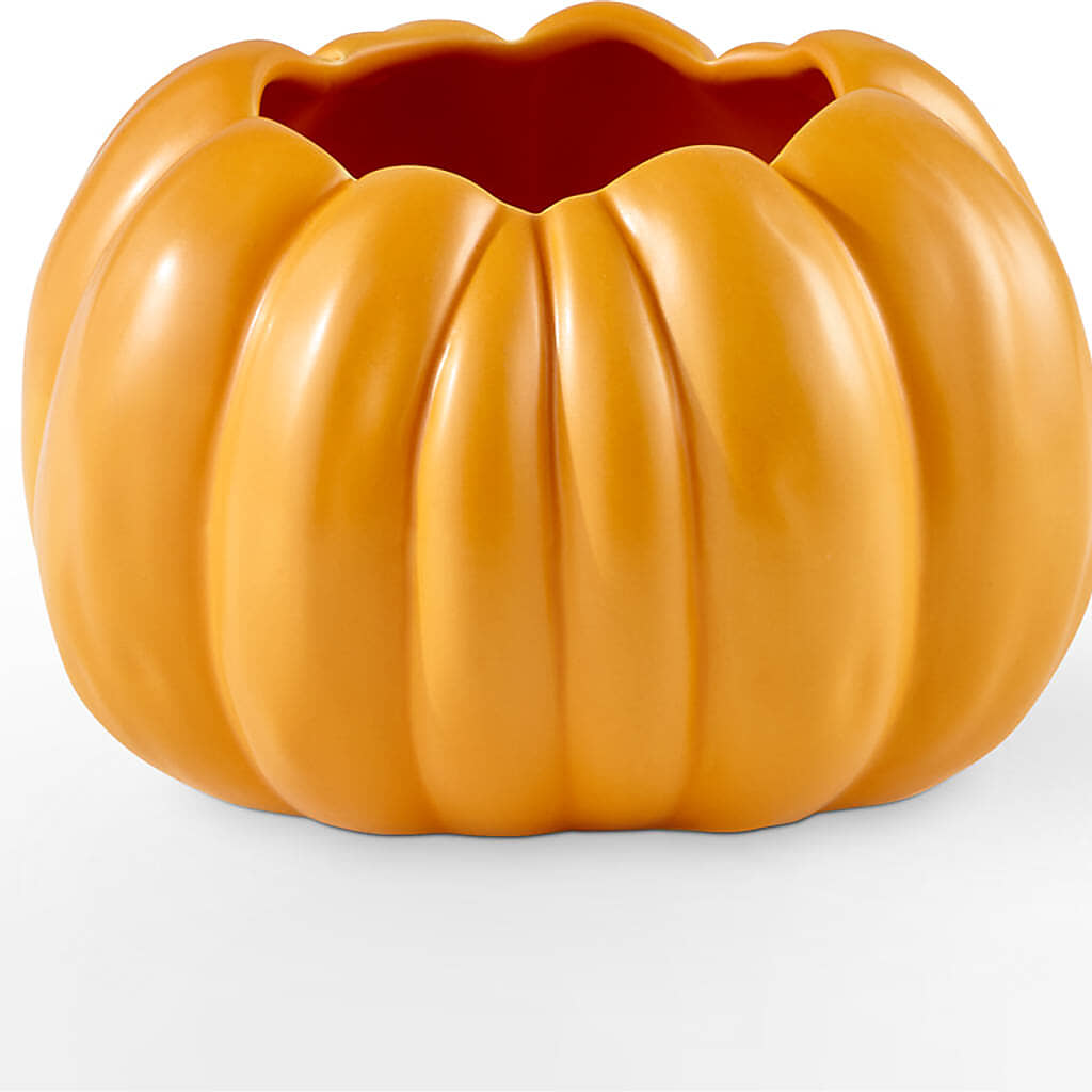 Golden Gourd Pumpkin Bouquet –  Davinci Flower Shop Ltd, Scarborough ON