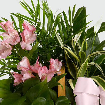 Living Spirit Dishgarden –  Davinci Flower Shop Ltd, Scarborough ON
