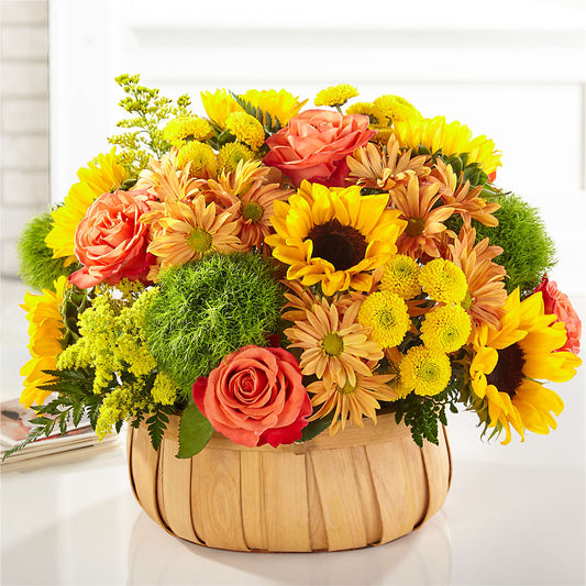Harvest Sunflower Basket –  Davinci Flower Shop Ltd, Scarborough ON