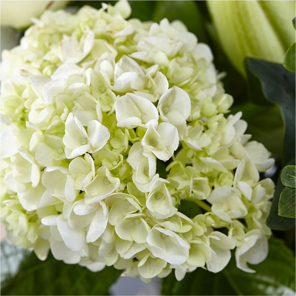 Classic Ivory – A Florist Original –  Davinci Flower Shop Ltd, Scarborough ON