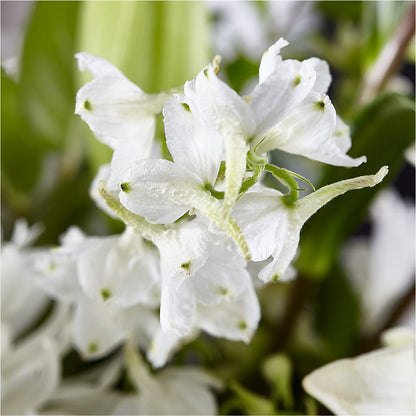 Classic Ivory – A Florist Original –  Davinci Flower Shop Ltd, Scarborough ON