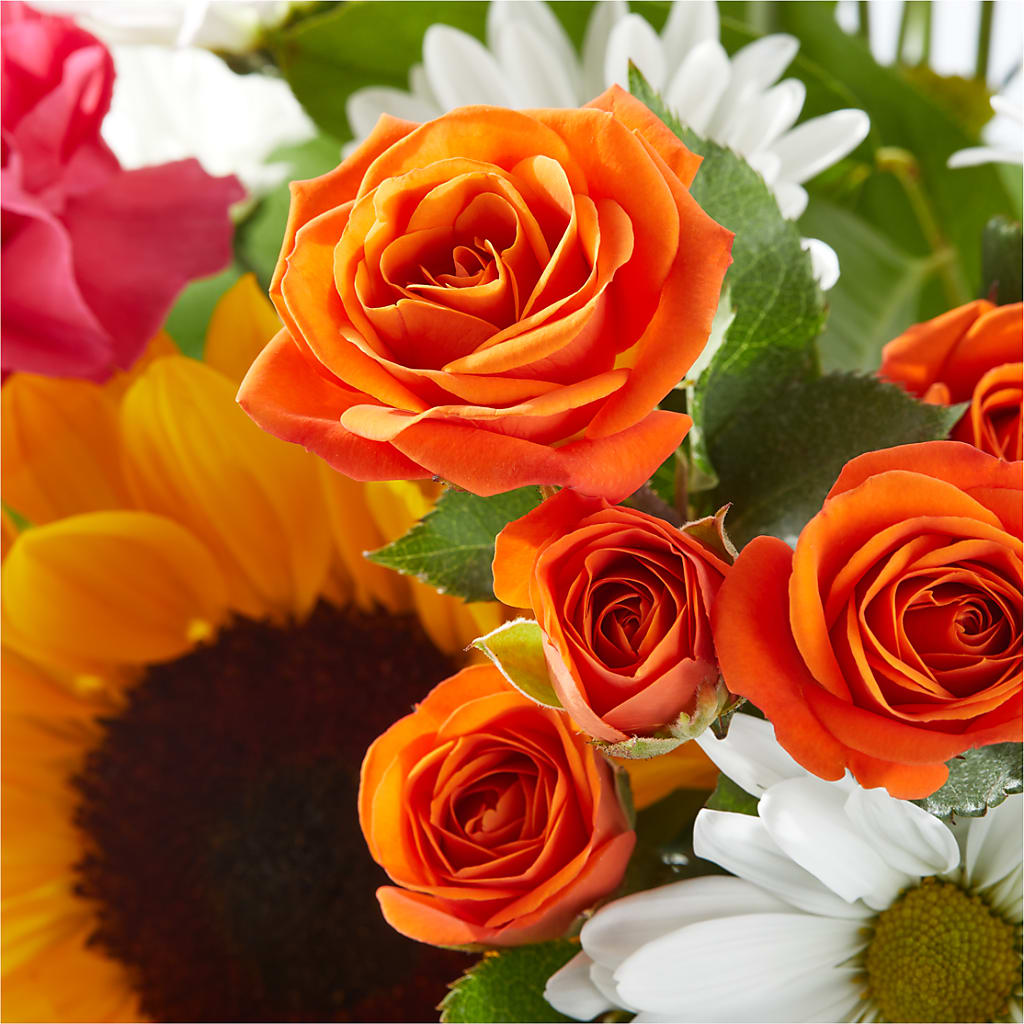 Sun-drenched Blooms Bouquet –  Davinci Flower Shop Ltd, Scarborough ON