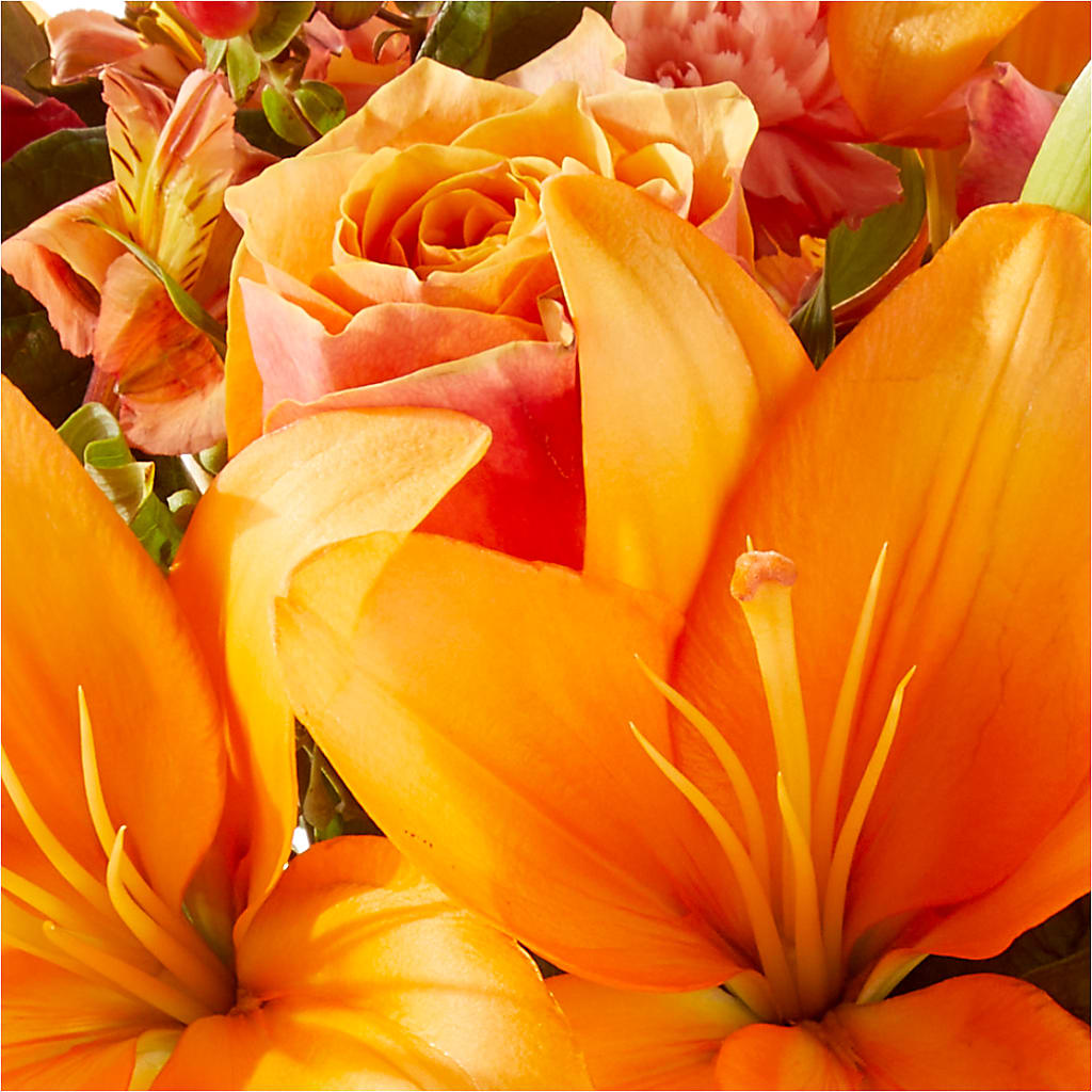 Afternoon Light Bouquet –  Davinci Flower Shop Ltd, Scarborough ON