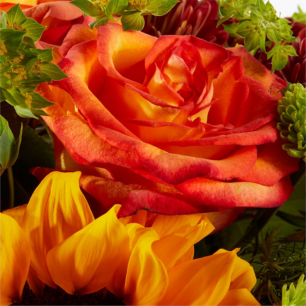 Harvest Festival Bouquet –  Davinci Flower Shop Ltd, Scarborough ON