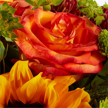 Harvest Festival Bouquet –  Davinci Flower Shop Ltd, Scarborough ON